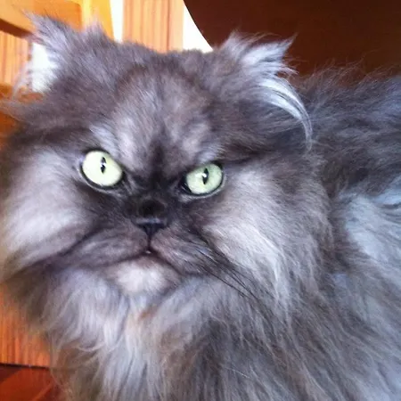 Casa Da Alzira Casa de Campo