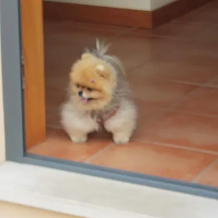 Casa de Campo Casa Da Alzira