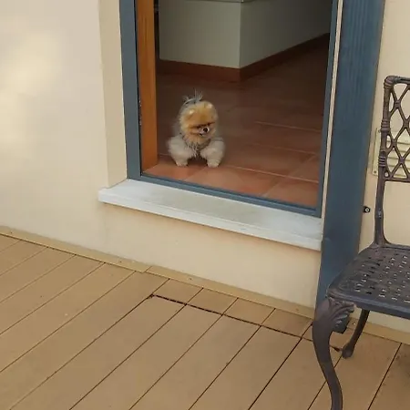 Casa de Campo Casa Da Alzira *