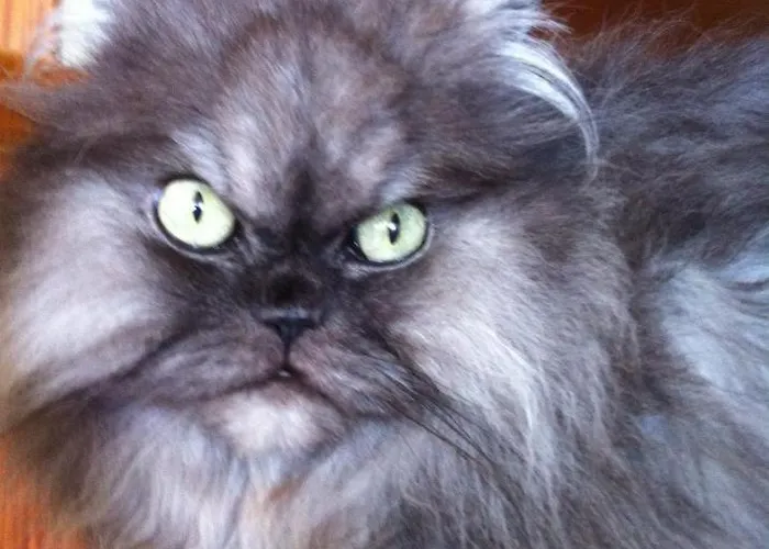 Casa Da Alzira Летний дом