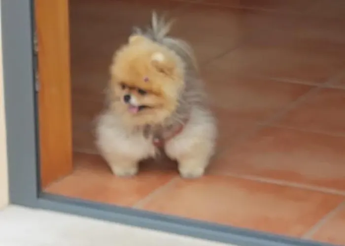 Casa de Campo Casa Da Alzira