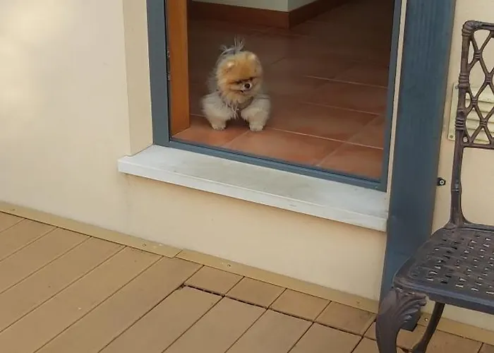 Летний дом Casa Da Alzira *